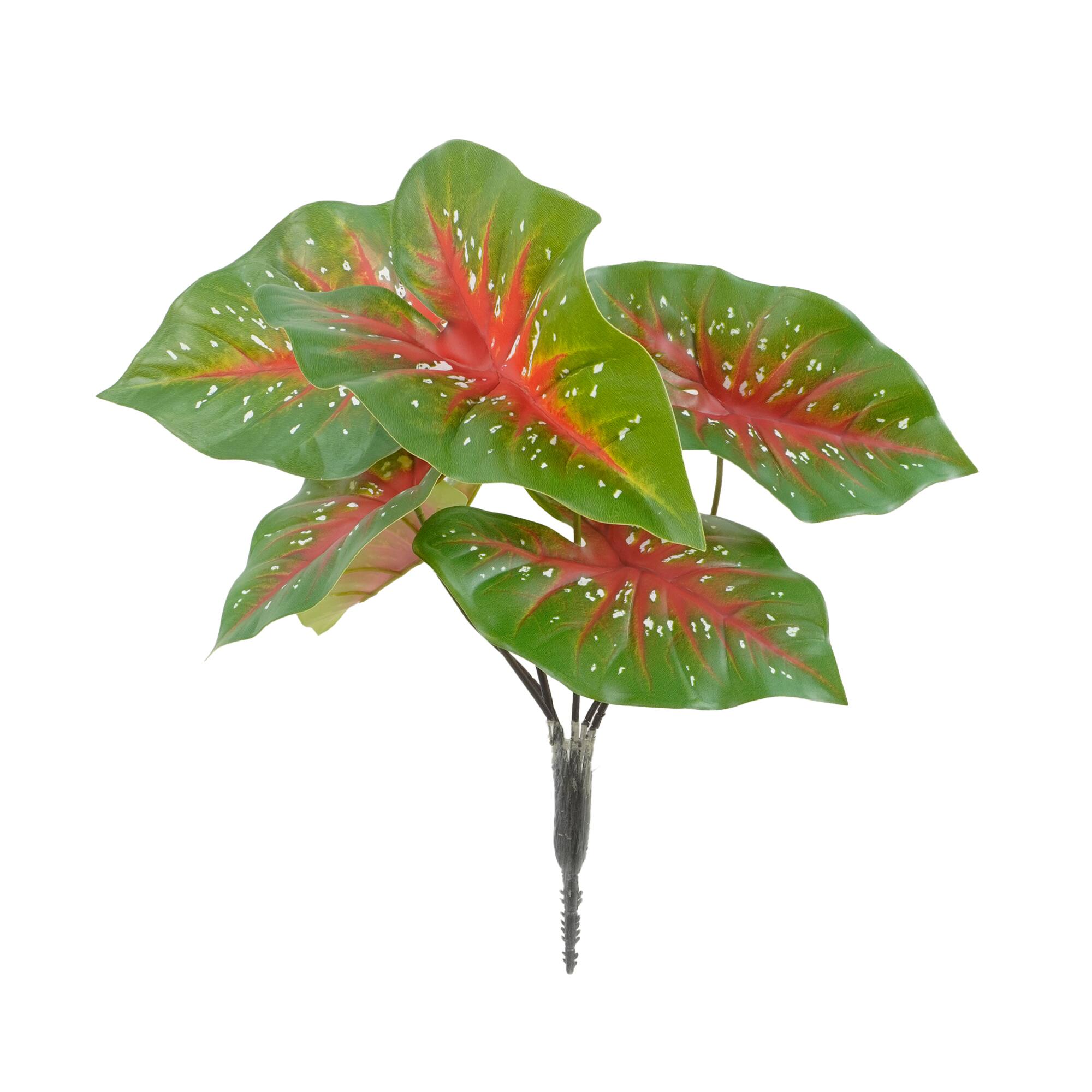 18.5" Green Caladium Bush by Ashland®